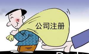 无为在如何注册网络科技公司