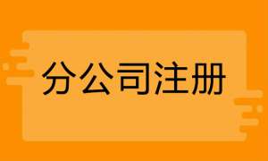 无为注册分公司需要什么手续有哪些流程